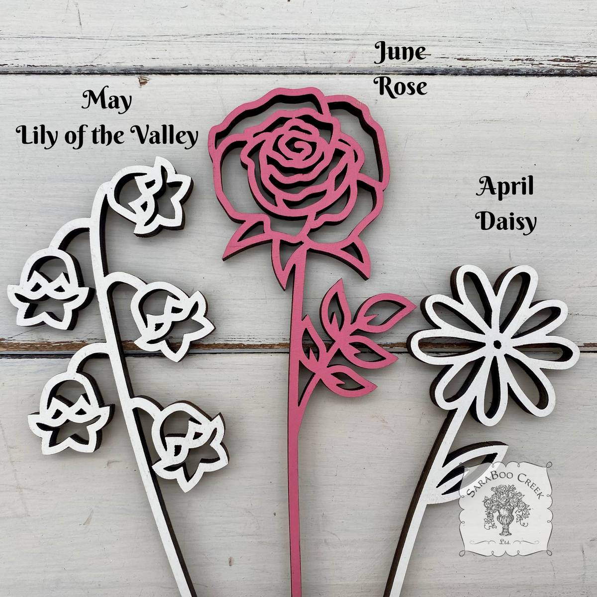 Flower of the Month Wood Plant Marker Picks - Birth Month Plant Stake Pokes w/ Brushed Gold 1 side, Color the other side