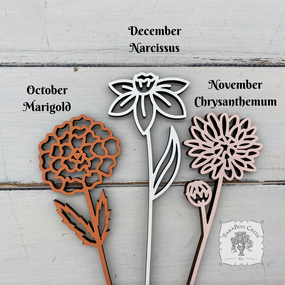 Flower of the Month Wood Plant Marker Picks - Birth Month Plant Stake Pokes w/ Brushed Gold 1 side, Color the other side
