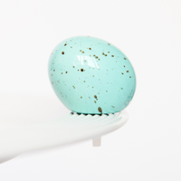 Nora Fleming Egg Mini