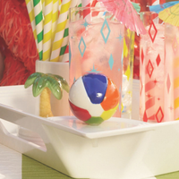 Nora Fleming NEW Beach Ball