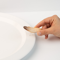 Nora Fleming Feather Mini