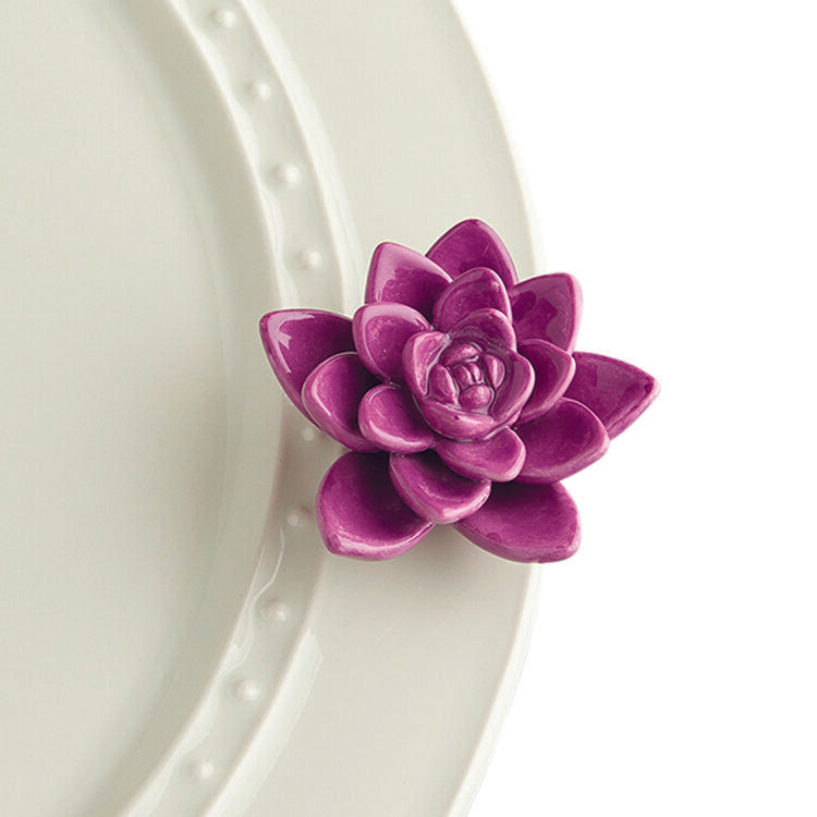 Succulent Nora Fleming Mini